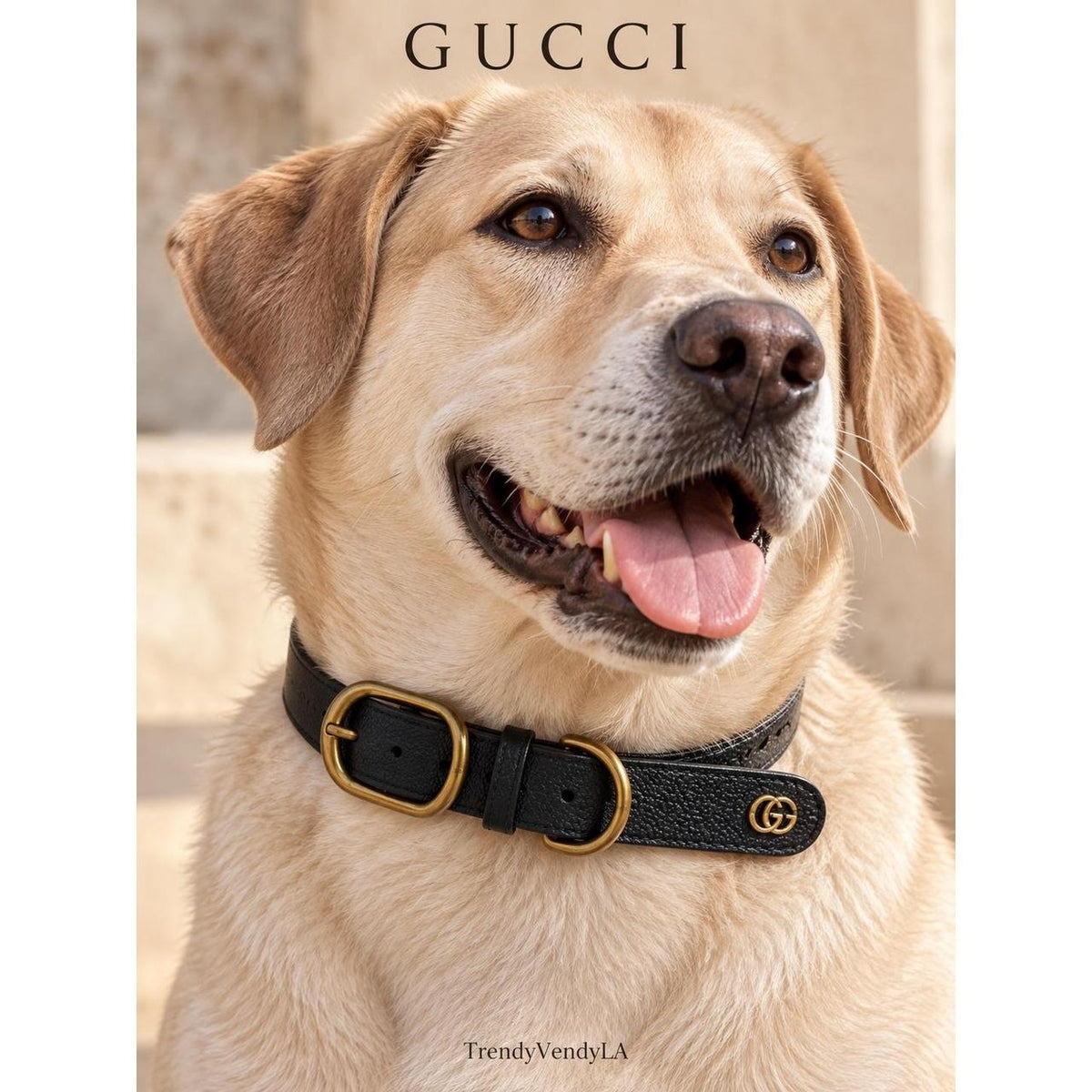 Gucci Demetria Black Pebbled Leather Dog Collar Gold Double G Large